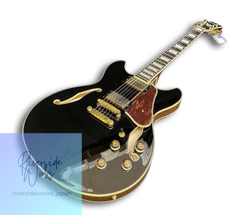 Guitare semi acoustique - guitare, ibanez